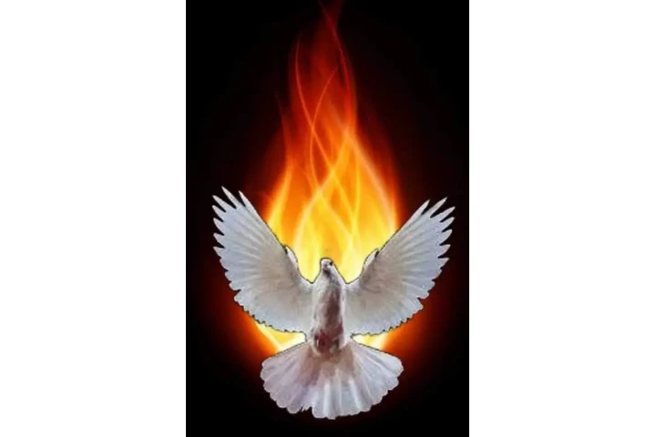 Pastor Evangélico Cristiano image 1