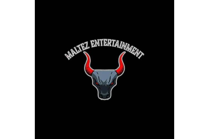 Maltez Entertainment image 1