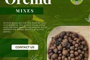 Buy Premium Orchid Mixes en Miami