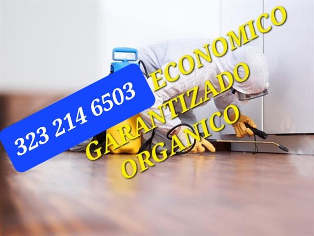 Fumigador Honesto Economico image 2