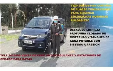 TELF 2428098 CONTROL DE PLAGAS image 3