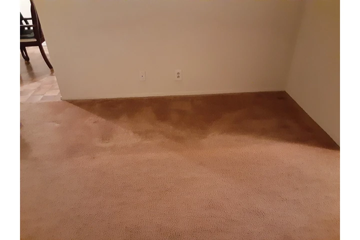 $450 : COMPARTO LA SALA image 1