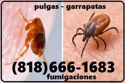 Fumigaciones East Los Angeles en Los Angeles