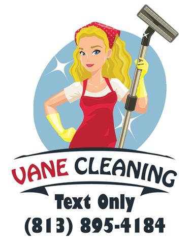 vanecleaning image 10