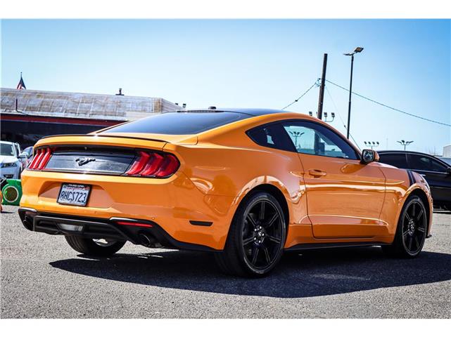 2019 Ford Mustang EcoBoost image 3
