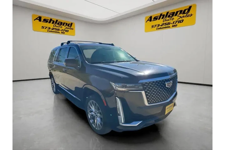 $45900 : 2022 Escalade ESV Luxury image 8