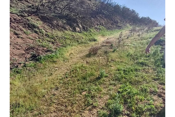 $18000 : Land in Baja California, Mexic image 7