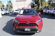 $22996 : 2019 RAV4 thumbnail