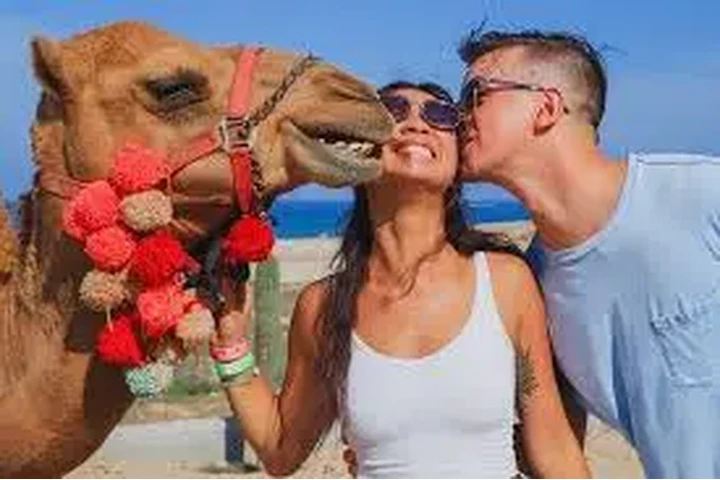 Tours en Mexico image 8