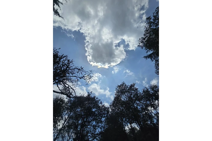 $1 : TERRENOS EN VENTA EN SUMPANGO, image 10