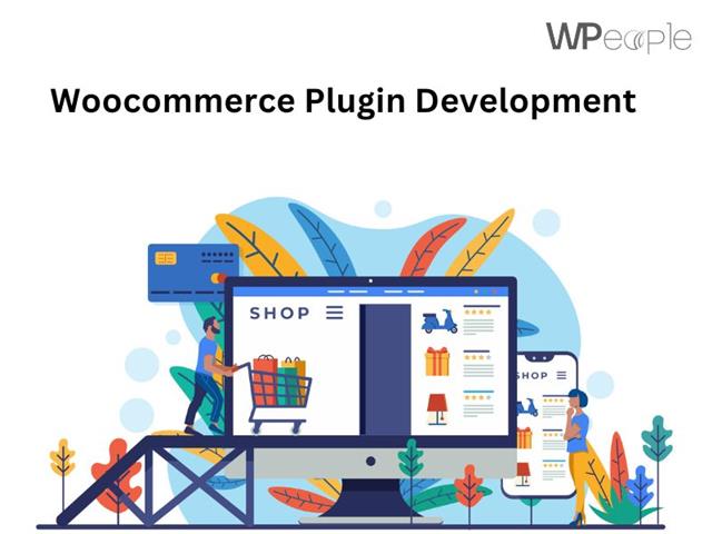 Woocommerce Plugin Development image 1