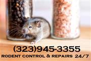 Pest Control Orange County thumbnail