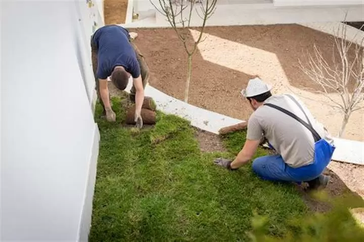 Fake Grass Installation image 1