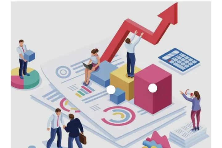 Capturista de datos image 1