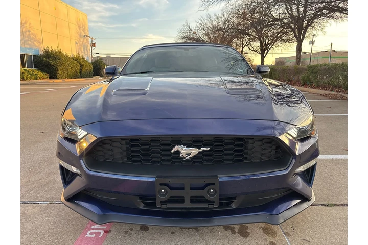 $15490 : 2019 Mustang EcoBoost Premium image 3