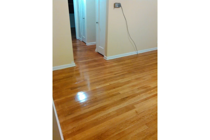 Leonel Handyman renovation image 6