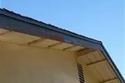 Edgar's painting professional thumbnail 2