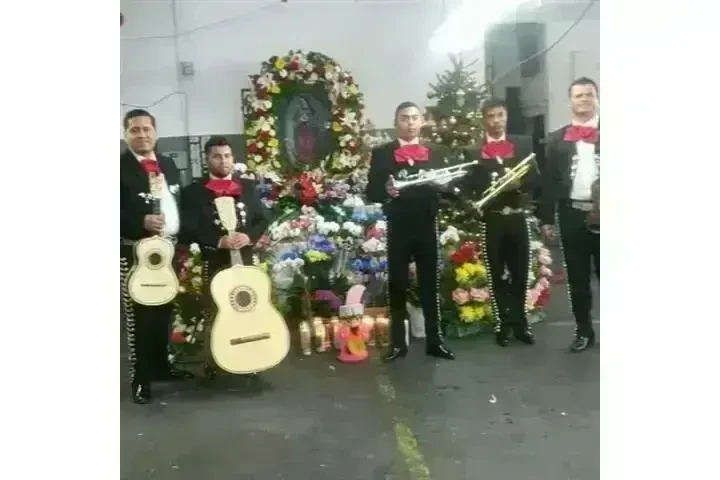 MARIACHI RAZA JALISCIENSE image 6