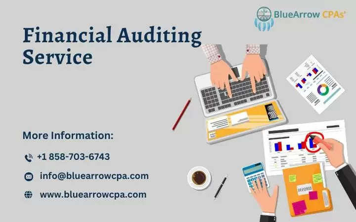 Best Financial Audit Service image 1