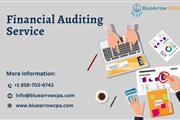 Best Financial Audit Service