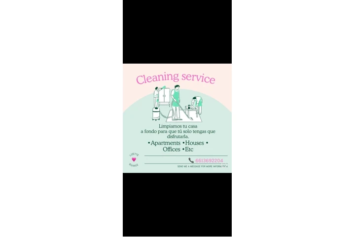 Cleaning service Lizette image 1