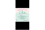 Cleaning service Lizette