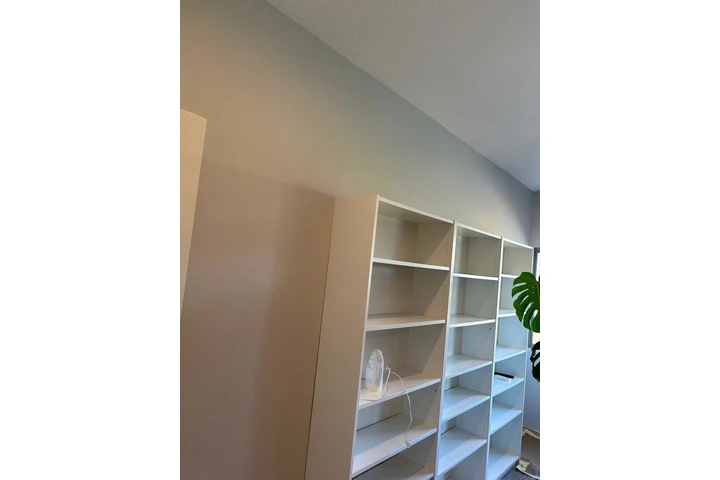 Painting Services image 4