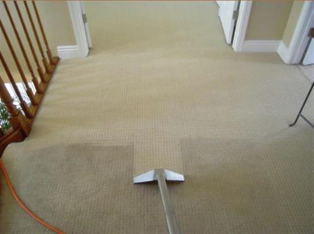 Roy's Carpet Cleaning image 2