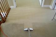Roy's Carpet Cleaning thumbnail 2