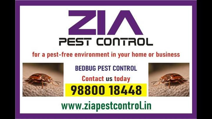 Bedbug Pest Control | Upto 35% image 1