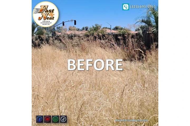 Evicted Houses Cleaning image 1