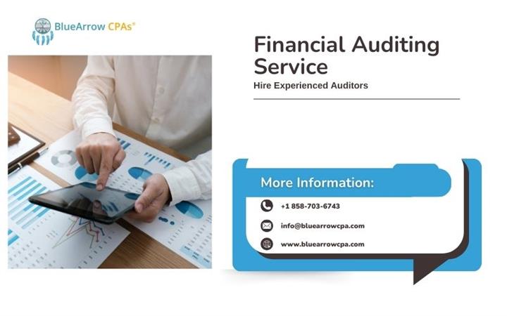 Financial Auditing Service BAI image 1