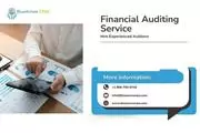 Financial Auditing Service BAI