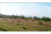 venta terreno 500m2  el jaraL en Queretaro
