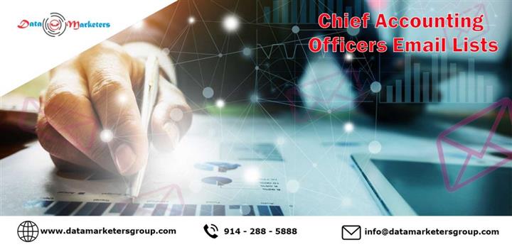 Chief Accounting Officer Data image 1