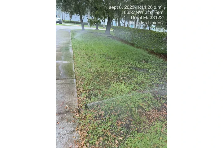 M Kairos Lawn service Inc image 7
