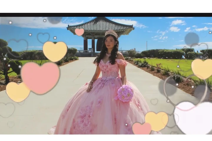 Foto y video economico image 2