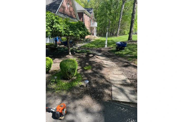 Landscaping Services en MD image 7