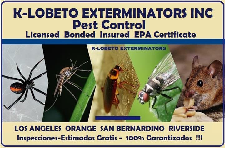 PEST CONTROL SERVICES 24/7.- image 1