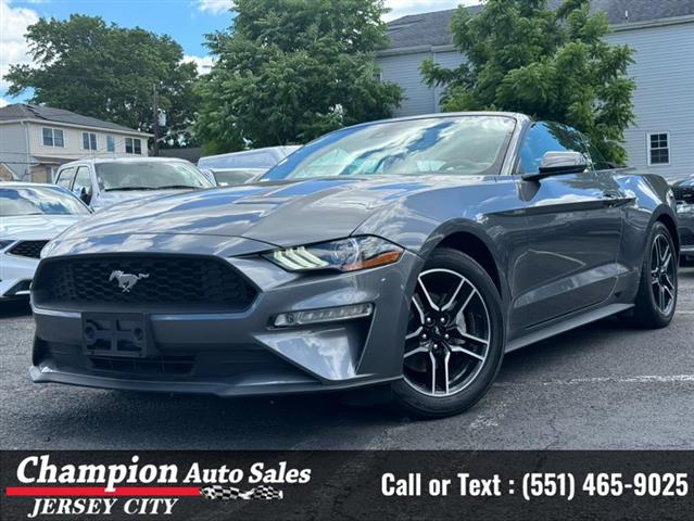 Used 2021 Mustang EcoBoost Pr image 4