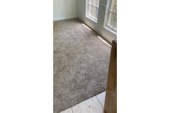 Carpet image 6