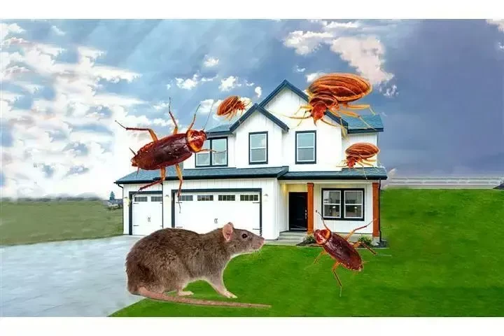 TIENE DERECHOS DE INQUILINO image 8