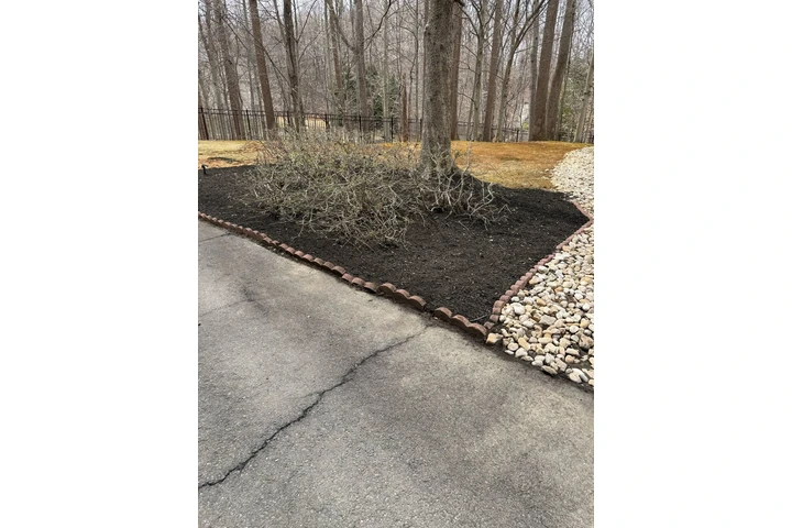 🌲LANDSCAPING SERVICES🌲 image 8