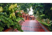 Pappy's Nest Holiday Resort en London