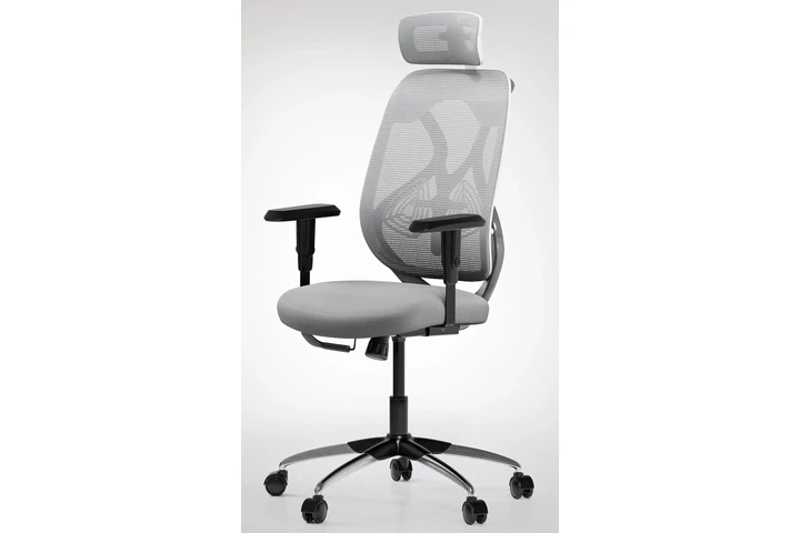 Ergonomic Chair image 1