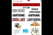 APPLY NOW! HAWTHORNE 3 SHIFTS thumbnail