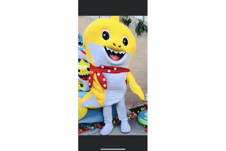 Animadores p shows infantiles image 6