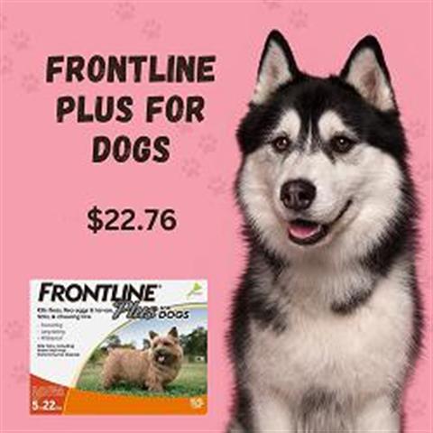 $22.76 : Frontline Plus for Dogs image 1