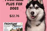 Frontline Plus for Dogs en Birmingham