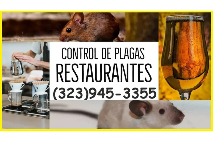 👉LLÁMANOS Y LAS ELIMINAMOS image 2